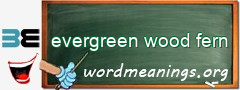 WordMeaning blackboard for evergreen wood fern